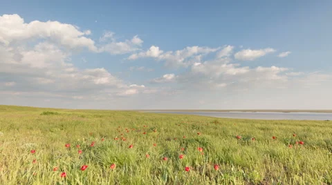 The movement of clouds over the fields of wheat in the vast steppes of the Don. Video stock 63164873