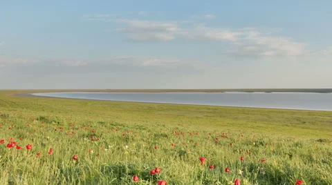 The movement of clouds over the fields of wheat in the vast steppes of the Don Stock Footage 63203057