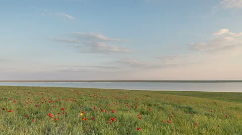 The movement of clouds over the fields of wheat in the vast steppes of the Don. Video stock 63203735