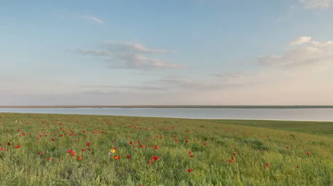 The movement of clouds over the fields of wheat in the vast steppes of the Don Stock Footage 63203848