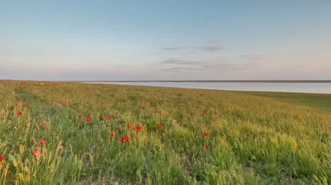 The movement of clouds over the fields of wheat in the vast steppes of the Don Stock Footage 63204653