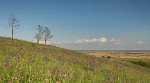 The movement of clouds over the fields of wheat in the vast steppes of the Don Video stock 63378164