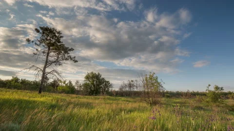 The movement of clouds over the fields of wheat in the vast steppes of the Don. Video stock 63381440