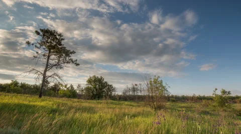 The movement of clouds over the fields of wheat in the vast steppes of the Don Stock Footage 63381558