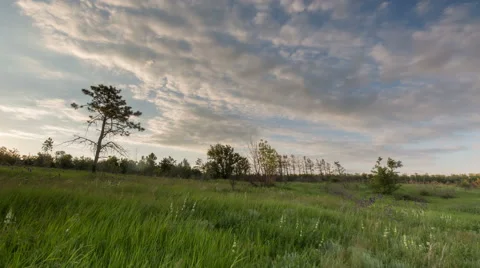 The movement of clouds over the fields of wheat in the vast steppes of the Don. Stock Footage 63381794