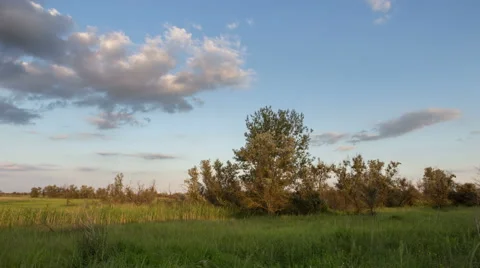 The movement of clouds over the fields of wheat in the vast steppes of the Don. Stock Footage 63853810