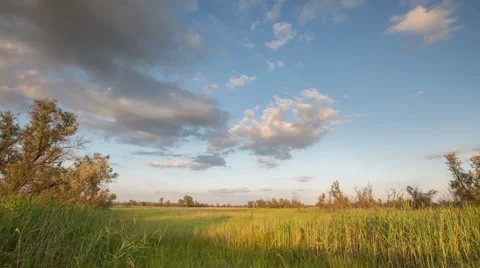 The movement of clouds over the fields of wheat in the vast steppes of the Don. Stock Footage 63854517