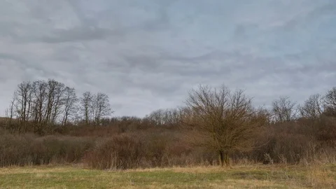 The movement of the clouds over the fields of winter wheat in spring in steppes Stock Footage 73936618
