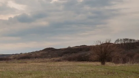 The movement of the clouds over the fields of winter wheat in spring in steppes Stock Footage 73938495