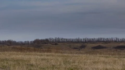 The movement of the clouds over the fields of winter wheat in spring in steppes Stock Footage 73940510