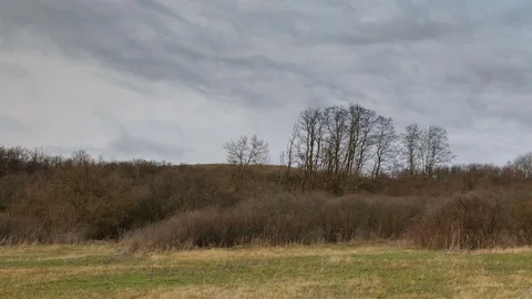 The movement of the clouds over the fields of winter wheat in spring in steppes Stock Footage 73940987