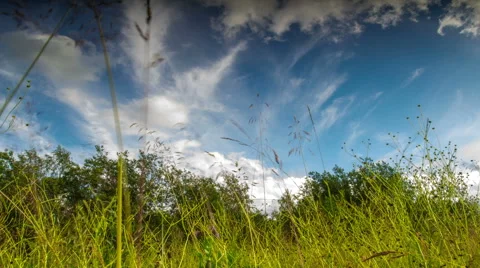 Movement of clouds over a green meadow Stock Footage 42519427