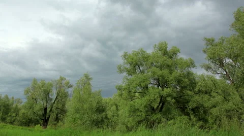 Movement of clouds over the meadow. Lubinsky District, Omsk Region, Russia,  Video stock 57503488