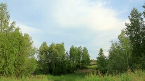 Movement of clouds over the meadow. Syropyatskoe village, Kormilovsky District,  Stock Footage 57538337