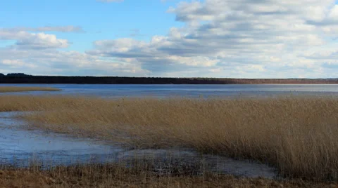 Movement of clouds over the river Vuoksi, Losevo village, Leningrad region,  Stock Footage 48618444