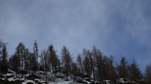 Movement of clouds over trees in the mountains Stock Footage 61819652