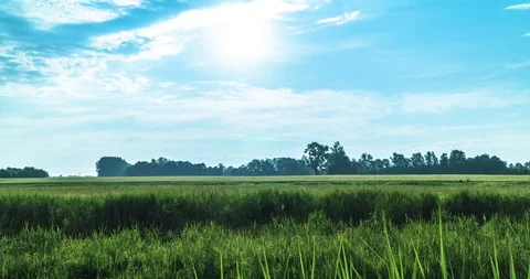 The movement of clouds in the sky. beautiful rural timelapse Stock Footage 111772000