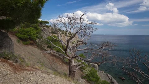 The movement of clouds in the spring in the Crimea peninsula Stock Footage 144055053