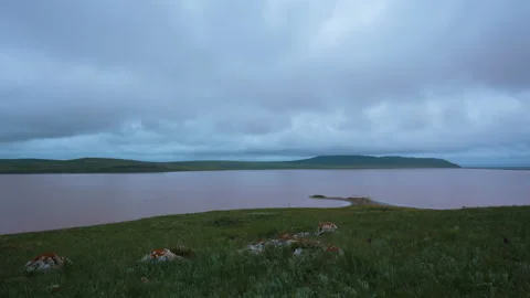 The movement of clouds in the spring in the steppe of the Crimea peninsula Stock Footage 87458959