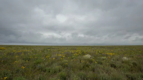 The movement of clouds in the spring in the steppe of the Crimea peninsula Stock Footage 87459653