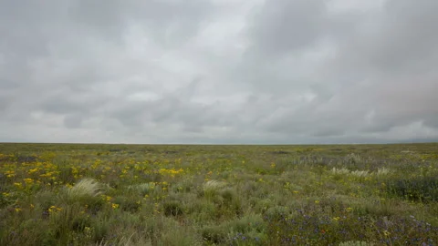 The movement of clouds in the spring in the steppe of the Crimea peninsula Stock Footage 87459955