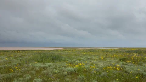 The movement of clouds in the spring in the steppe of the Crimea peninsula Stock Footage 87460109