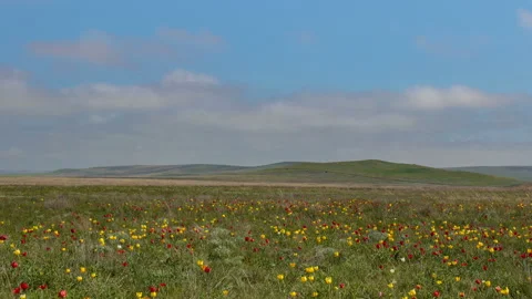The movement of clouds in the spring in the steppe part of the Crimea peninsula Stock Footage 85508980
