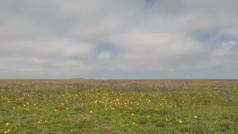 The movement of clouds in the spring in the steppe part of the Crimea peninsula Stock Footage 85509368