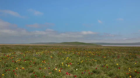 The movement of clouds in the spring in the steppe part of the Crimea Stock Footage 85509605