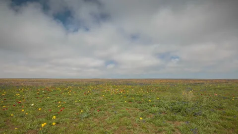 The movement of clouds in the spring in the steppe part of the Crimea Stock Footage 85509782