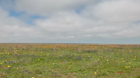 The movement of clouds in the spring in the steppe part of the Crimea peninsula Stock Footage 85510261