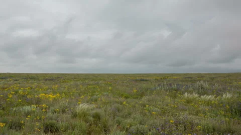 The movement of clouds in the spring in the steppe part of the Crimea peninsula Stock Footage 87459689