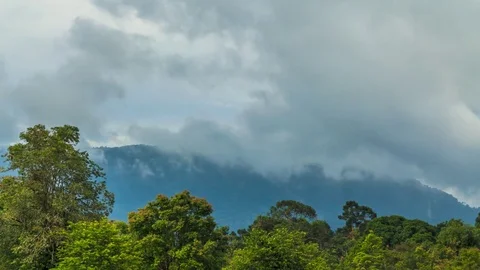 The movement of clouds through mountain and green forest rainy season,Thailand. Video stock 76968658