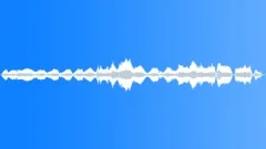 Movement in the DarkStock Music