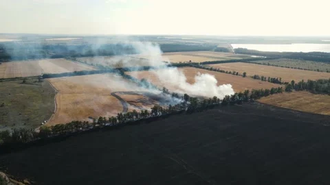 Movement of the drone along the burning field 스톡 동영상 162410592
