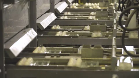 Movement of eggs on the production line in the package Stock Footage 140642424