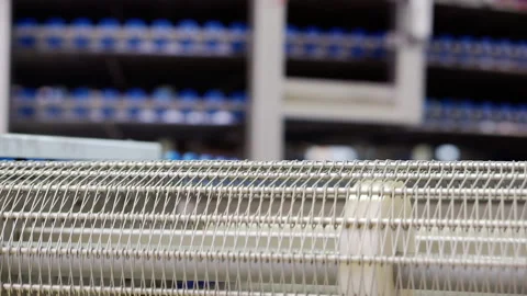 The movement of an empty conveyor line for the production of bakery products. Stock Footage 151108841