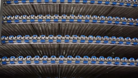 The movement of an empty conveyor line for the production of bakery products. Stock Footage 151108926
