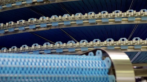 The movement of an empty conveyor line for the production of bakery products. Stock Footage 151214648