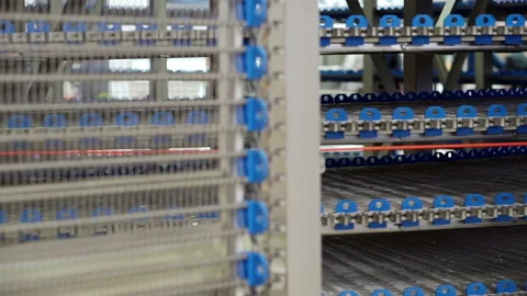 The movement of an empty conveyor line for the production of bakery products. Stock Footage 151240223