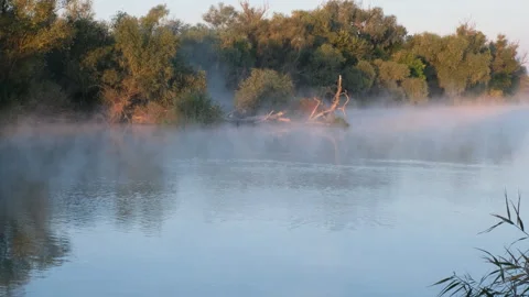 Movement of evaporation over the river, forest in orange light on the bank of a  Stock Footage 252725149