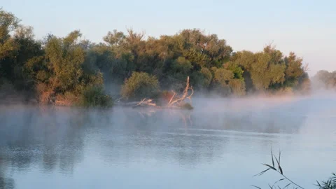 Movement of evaporation over the river, forest in orange light on the bank of a  Stock Footage 252725523