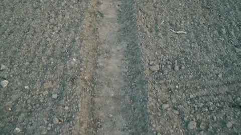 Movement in the evening garden between the beds of the garden. Paved path in the Stock Footage 197772666