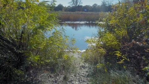 Movement, Exit to the River in the Reserve Stock Footage 97708753