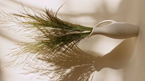 The movement of golden spikelets in the wind. Sunlight soft light and shadows Stock Footage 164123277