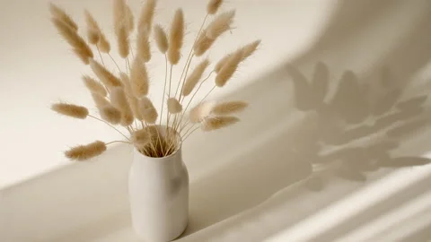 The movement of golden spikelets in the wind. Sunlight soft light and shadows Stock Footage 197116379