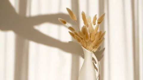 The movement of golden spikelets in the wind. Sunlight soft light and shadows Stock Footage 256921194