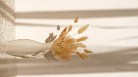 The movement of golden spikelets in the wind. Sunlight soft light and shadows Stock Footage 265902472