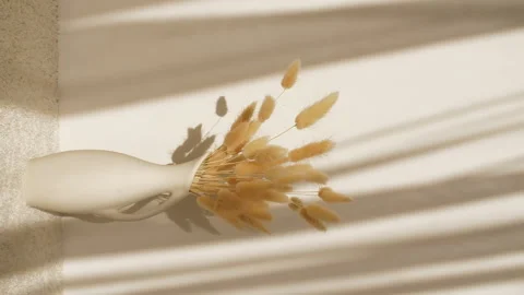 The movement of golden spikelets in the wind. Sunlight soft light and shadows Stock-Footage 272591151
