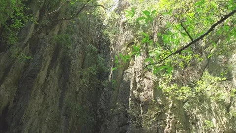 Movement in gorge among steep cliffs Stock Footage 313884157